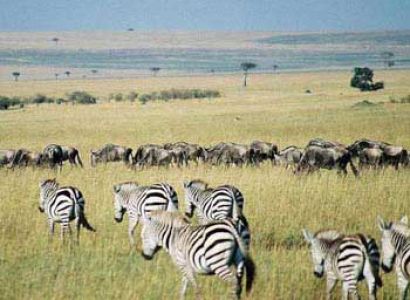 Masai Mara Lodge Safari Package