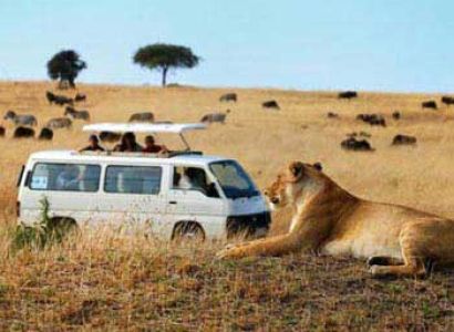 Masai Mara Tour Package
