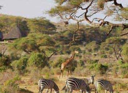 Samburu Safari-Samburu Camping Package