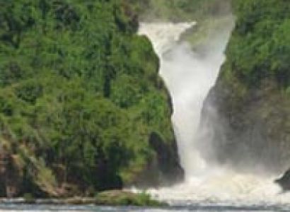 Murchison Fall National Park Tour and Kibale Game Park Package