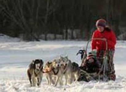 Husky Adventures and Dog Sledding in Tatra Mountains in Slovakia Tour