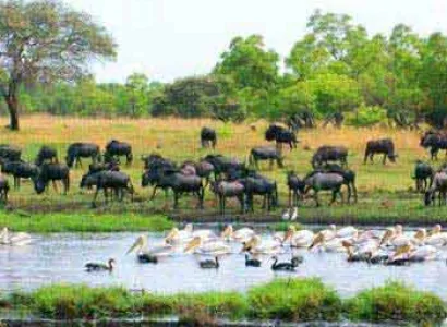 Lusaka to Livingstone Via Kafue National Park and Liuwa Plains National Park Package