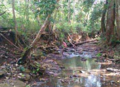 Adventure in Mondulkiri Senmonorom & Forest Camp Package