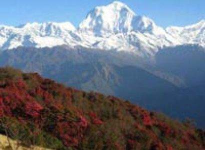 Ghorepni Poon Hill Trekking Package