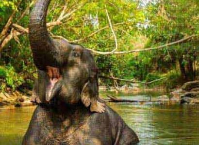 Family Mountain and Beach Thailand Tour