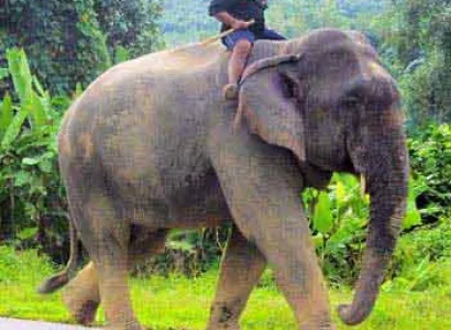 North-South Laos River Tour