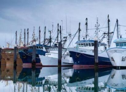 Spend An Afternoon Relaxing On a Quiet Marina Cruise Package