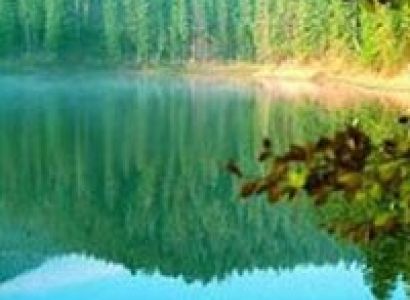 Synevyr Lake Package