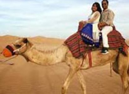 Abu Dhabi Overnight Desert Safari with Animal Farm Visit Package