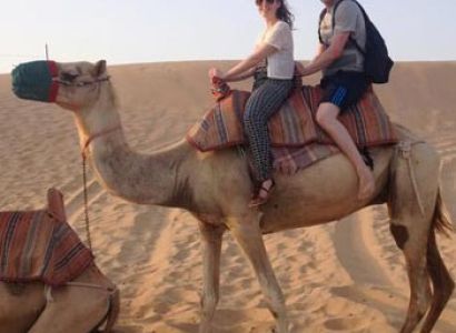 One Day Morning Safari Abu Dhabi with Camel & Animal Farm Visit Package