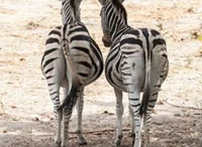 One Day Fathala Park Package