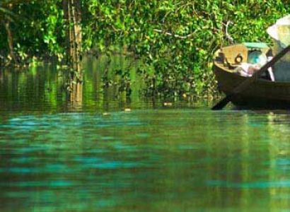 Mekong Delta Tour