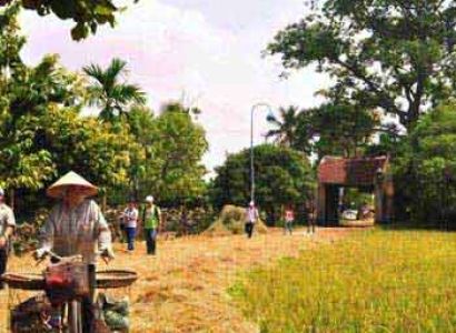Duong Lam Ancient Village Tour