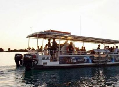 Moreton Bay Marine Encounter Package