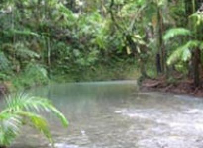 3 Day Cape Tribulation & Cooktown Wanderer