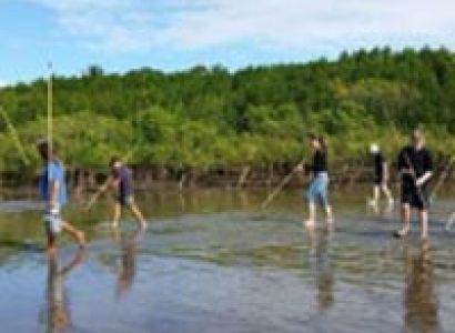 Kuku Yalanji Cultural Habitat Tours – Self Drive to Cooya Beach Tour