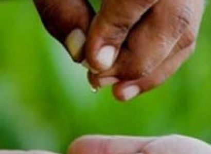 2 Day Daintree Dreaming – Cape Tribulation Tour