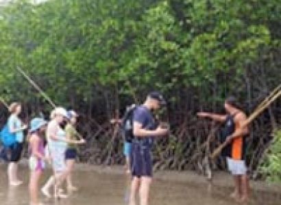 Daintree Dreaming Day Tour with Ngadiku Dreamtime Walk