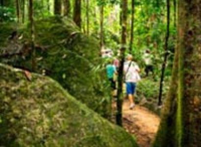 Mossman Gorge Dreamtime Walks Tour
