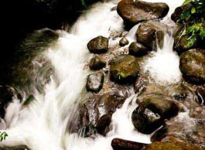 Panorama Horseback Riding Tour