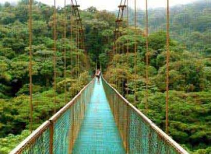 Horseback Riding Look Out Point Tour