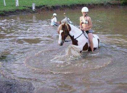 Gold Mine Horseback Riding Tour
