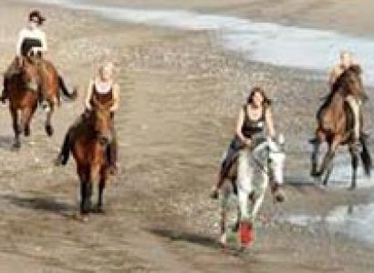 Bali Horse Riding Package