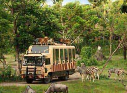 Bali Safari and Marine Park Package