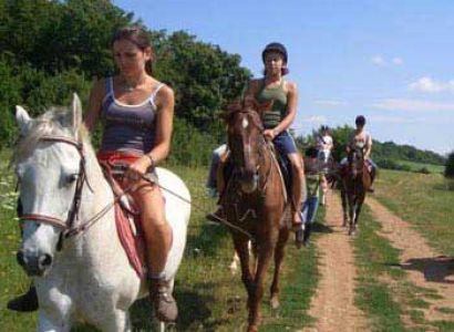 Horseback Riding – a Relaxing Activity in Slovenia Package