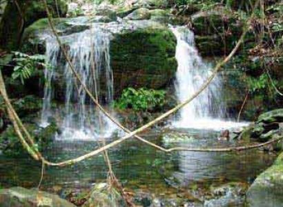 3 Day Kakadu / Litchfield 4wd Safari from Darwin Package