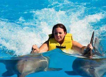 Adventure Beyond! Swim with Wild Dolphins Package