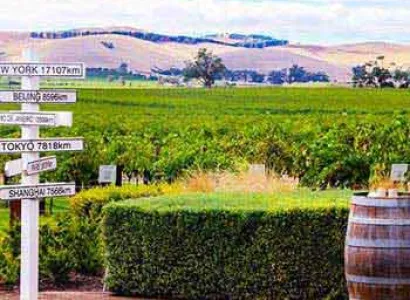 Barossa Valley or Mclaren Vale Wine Tasting Tours Package