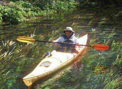 Florida’s Greatest Rivers, Swamps, and Springs Tour