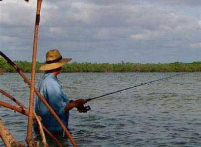 Sea Kayaking the Florida Keys Tour