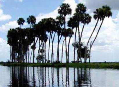 Econlockhatchee River Tour