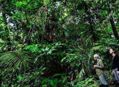 Amazon Jungle Safari Tour