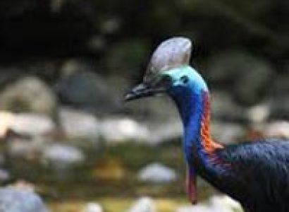 Odyssey Bound – Half-Day Expedition Package