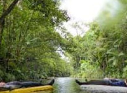 Back Country Bliss Adventures – Spring Creek Bush Walk Package