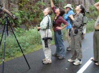 Dumoga Bone Bird Watching Package