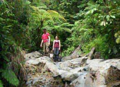 North Sulawesi Adventure Tour Package