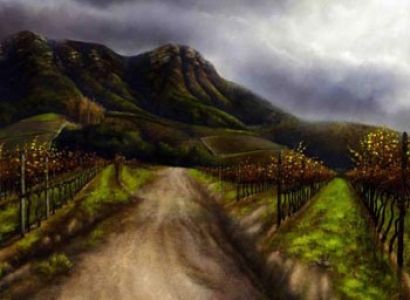 Table Mountain and Groot Constantia Tour