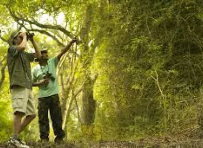 Bird Watching Package