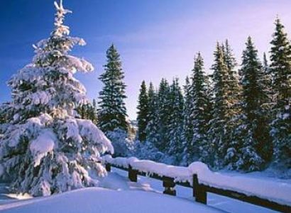 Manali -shimla Package