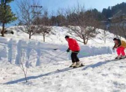 Manali Honeymoon Package