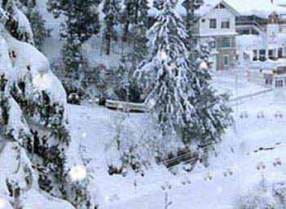 Delhi –shimla – Delhi  Package By Volvo Tour