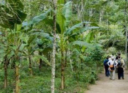 Tambopata 3 Days Tour