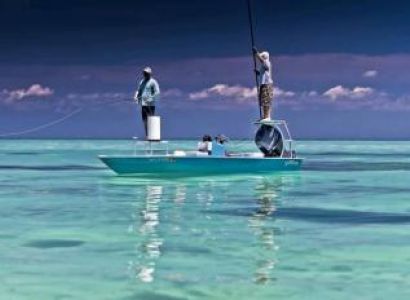 Hunter Valley Luxury Charter Tour