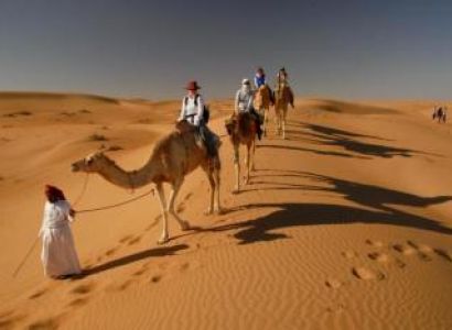 Turtle Beach & Desert Trip Package