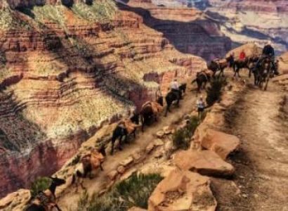 Grand Canyon One Day Trip Package