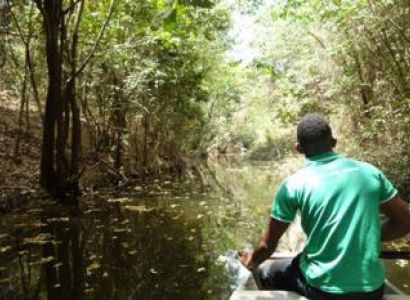 Ghana Mole Express Safari Tour